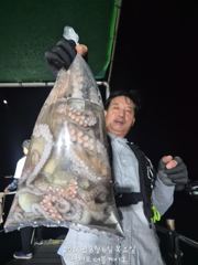 [먹물조황] 삼천포 문어조황! 주간반 , 야간반 매일출조! 사진