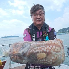 8월4일 팔포1호 대왕돌문어 2.12kg 포획성공하고 마무리합니다 ((돌문어사냥은 계속 이어집니다)) 사진