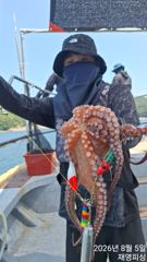 오전5시30분 오후6시출항돌문어 사진