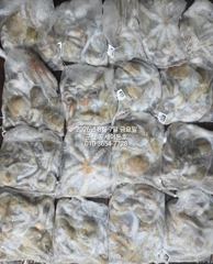 8월6일-야간 문어~문어~조황 좋아요 사진