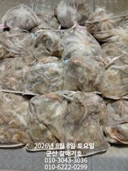 8월7일 금요일 갈매기호 야간 문어 조황 사진