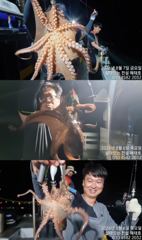 전설해태호>8/7 시원한 밤바람과 돌문어들  사진