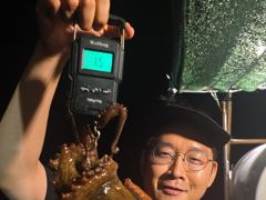 주,야간돌문어굵직한1,5k급외퍽~퍽마릿수굿~굿 사진