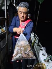 야간 돌문어 6일 조황 사진