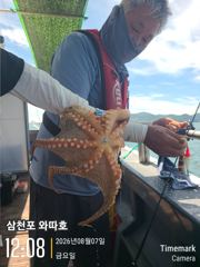 2키로외 일당들 내일 몇자리있습니다  사진
