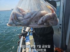 [백조기조황] [홍원항타이탄호] 8월8일(금) 백조기&부서  굿 조황 사진