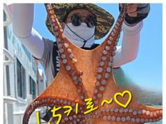 6일(목)1.5K1.3K...등등돌문어조황!!9일(일)자리여유있습니다  사진