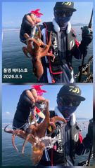 통영] 문어 사량도 굴어장 조황 4일(화), 5일(수) 통영 메티스호 사진