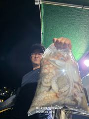 삼천포 문어조황! 주간반, 야간반 매일출조! 사진