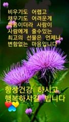 ※※※※돌문어쉬는날※※※※