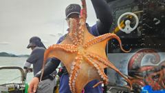 8월8일 삼천포 문어 태풍전야.. 사진