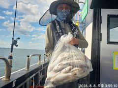 오늘의조황 - 8월7일 백조기낚시^^ - 오천항 성령낚시,성령호 사진