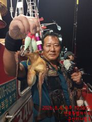 8/8 야간 문어 낚시  사진
