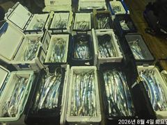 준내만4지3지급철수때까지입질쿨러만~당 사진