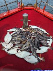 [마린스타호] 8월 9일 먼바다 외수질 굿~조황(소수인원) 사진