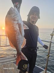 8/8일  한바다호 조황입니다.참돔어디에 숨어 있나요~이곳 저곳 쑤셔봐도보이질않네요~참돔12수,손님고기 우럭8수 4자이상,광어4수 5자이상 백조기 한빠개스  킵하고  입항했네요~조사님들 수고많으셨어요 ~감사합니다. 사진