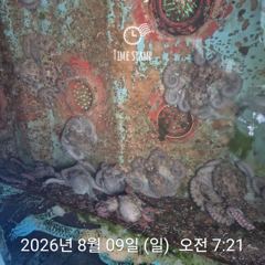 암초 포인트 문어 낚시 사진