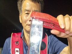 내만갈치버글버글, 오늘출항,예약가능 준내만갈치,외줄갈치, 목요일부터 출항 예약가능 사진