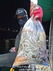 오늘의조황 - 삼천포 문어조황! 주간반, 야간반 매일출조! - 삼천포 더블케이호,배낚시,바다낚시 사진