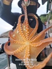 ♦♦포세이돈호⇒실시간 야간 문어 조황 8.10 사진