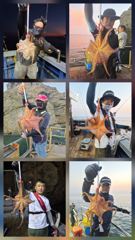 군산나래호(킹덤) 야간문어 이번주 평일 자리 여유있습니다 사진