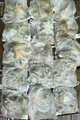 8월10일-야간 문어 조황 좋아요 사진