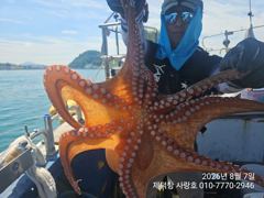[진해] "돌문어"강풍에 KKK들과 트리플힛트!! 개인13수12수10수외… 사진
