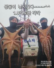 태풍급바람에도키로오버들20여수ㆍ17일부터자리가능