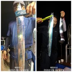 준내만갈치 금요일 월요일예약가능합니다  사진