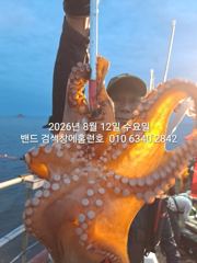 [군산] 11일 홈런호 야간문어 15인 굿조황으로 마무리 합니다 사진