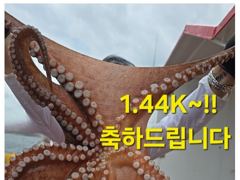돌문어 14일(금)부터 자리여유!! // 내일13일(목)ㅡ대왕백조기출항확정!!(5만원)ㅡ자리여유!! 사진