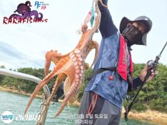 (야간문어) 목.금.토.예약가능 쫀쫀 덩치들 잡으로 가요~ 사진