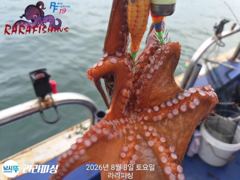 (야간문어) 수.목.금.쭉쭉 예약가능 덩치들 찾으러 가요~ 사진