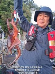 (문어)22시~07시 포동포동 덩치들 꿈틀꿈틀~홍부장피싱(오늘 예약) 사진