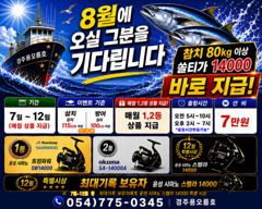 8월14일,15일,16일 오전5시 대삼치출조모집중...