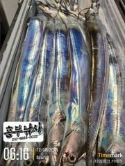흥부)낼부터 장판날씨 출항 달도없고 물때좋고 2선단 자리여유