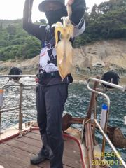 무늬 짬낚갔다 왕창주서담고왔네요 사진