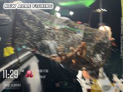 뉴아재피싱 12일 야간문어 다녀왔습니다! 사진