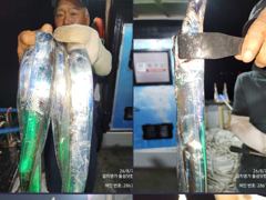 갈산에서 고산으로~ 사진