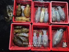[사천] 무늬 팁런 조황~ 오늘 19시 출항 자리여유 함께 하실 조사님 … 사진