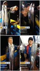 준내만갈치)내일부터 다시 시작됩니다(17일 월요일부터 예약가능합니다) 사진
