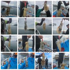 뉴 해병호 무늬오징어 초대박 200수오바 히트히트 1항차 2항차 오늘자리여유 사진