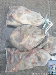 [사천] 돌문어 출조 (광복절 휴일 15일,16일 17일 모집중) 사진