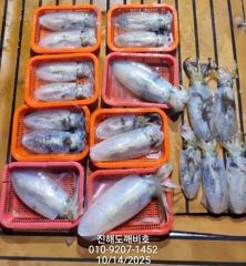 [진해] 야간돌문어 물총쇼 손맛보려가셔요 오늘 출조확정예약가능합니다 사진