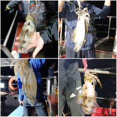 8월15~16일  이런애들 만나러 갑시다.. 저녁7시 무늬출조