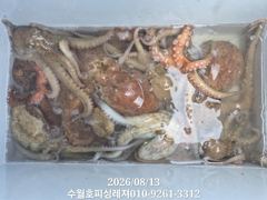 (수월호피싱레져)8/13사량권 돌문어 키로급 쩍쩍달라붙네요.손맛보러오셔요. 사진