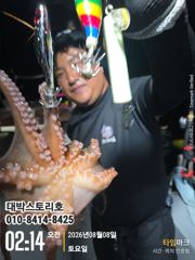 사량도 돌문어 ~ 출항합니다~ 사진