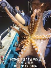8월 11일  야간문어 출조~ 사진