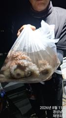 돌문어오전9시오후6시무조건출항 사진