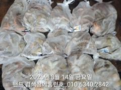 8월13일 장원21수 군산 홈런호 야간 문어  마무리 조항 입니다.오늘도  홈런호에 승선하신 조사님들 수고 하셨습니다. 사진